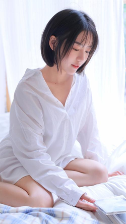 绅士RPG游戏安卓汉化像素风格冷狐主题